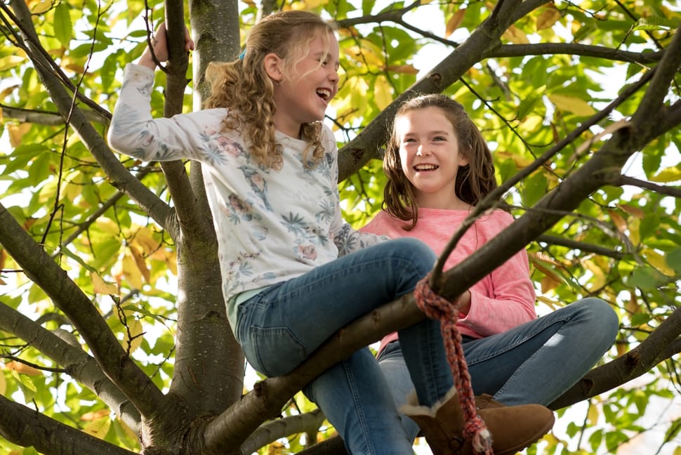 sisters climbing trees and laughing during Hertfordshire family photo session