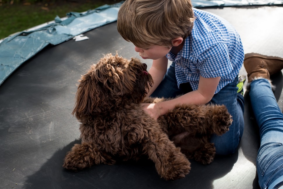 son kissing his beloved family dog