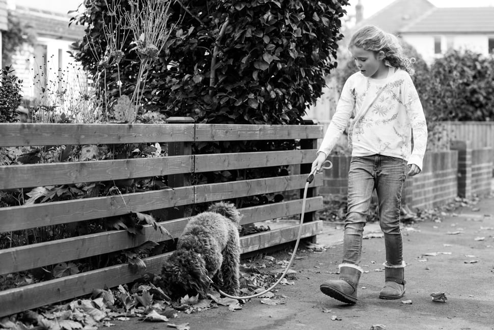 girl walking her family dog during family photo shoot