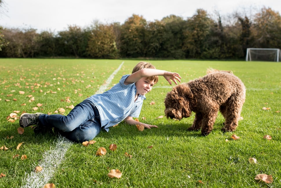 boy and his dog play during during family photoshoot