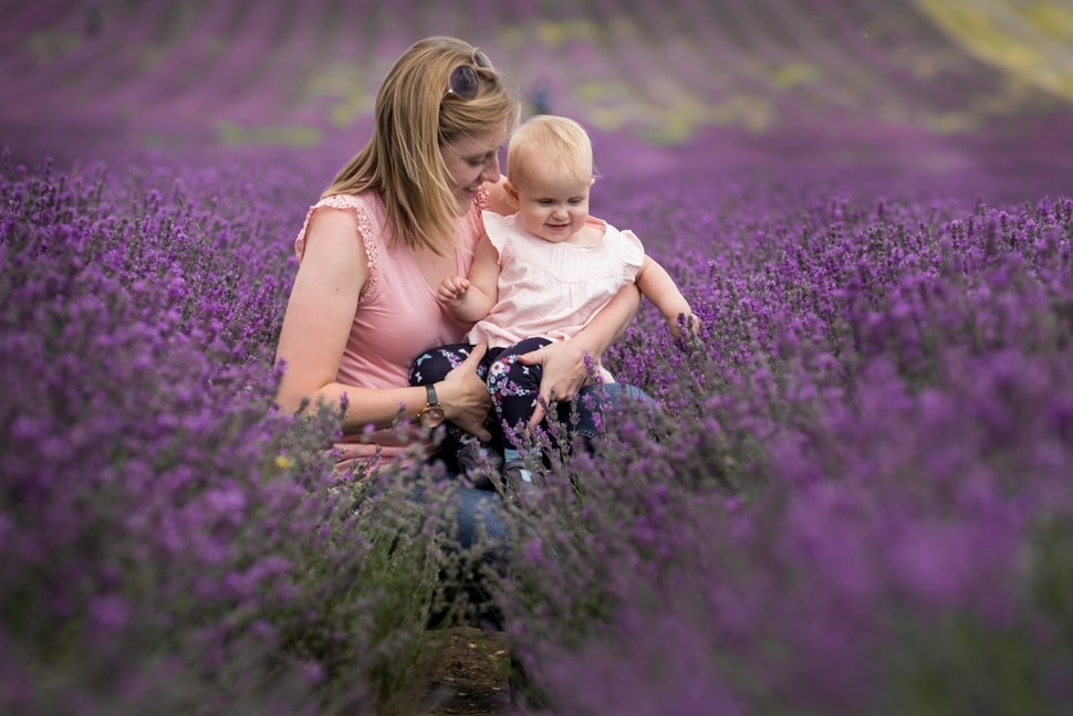 hitchin lavender fields, St Albans lavender photos, family photo session