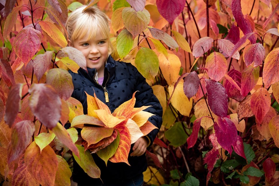 girl hiding in autumnal trees in St Albans