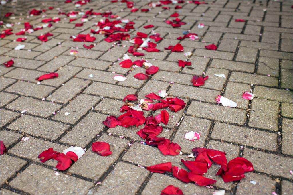 Leftover petal confetti outside St Albans Registry Office