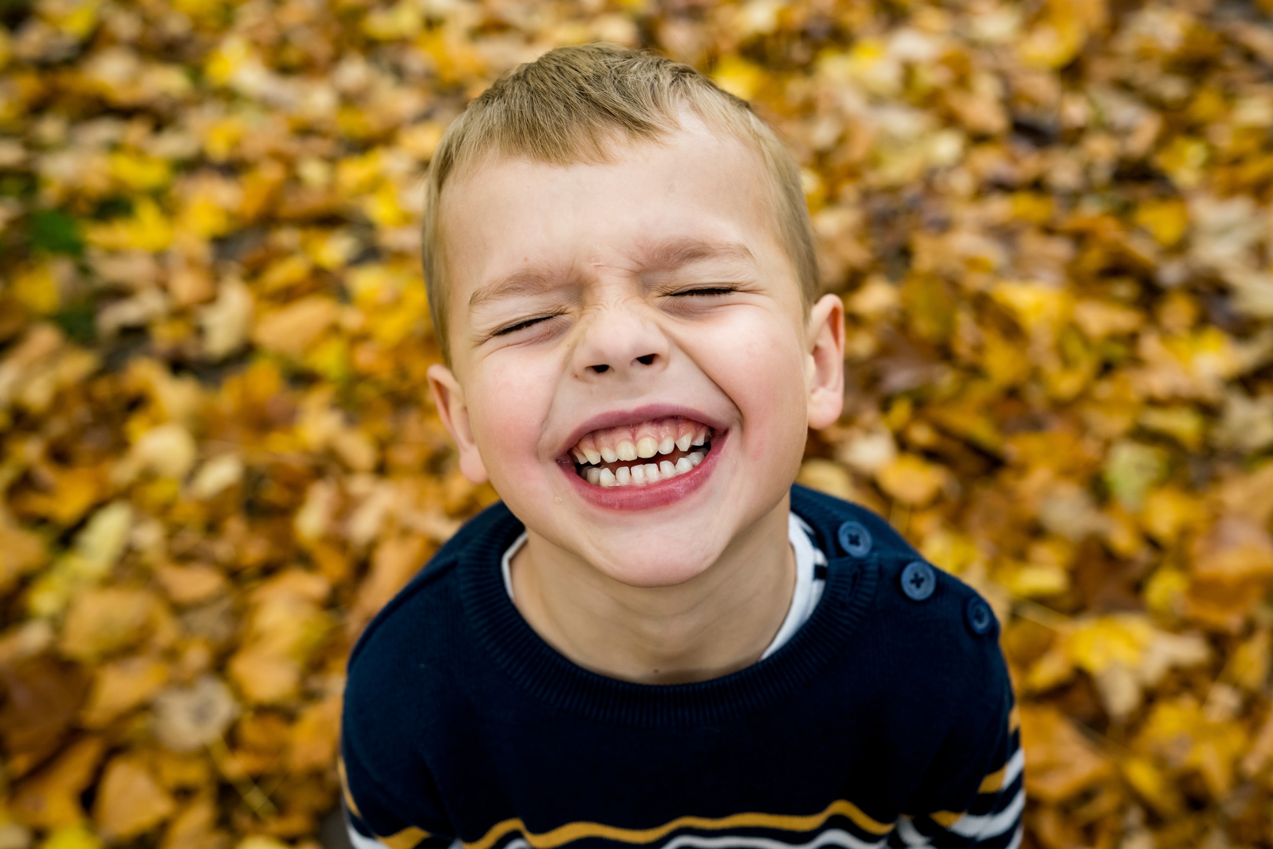 Little kid grins at the camera in autumn leaves