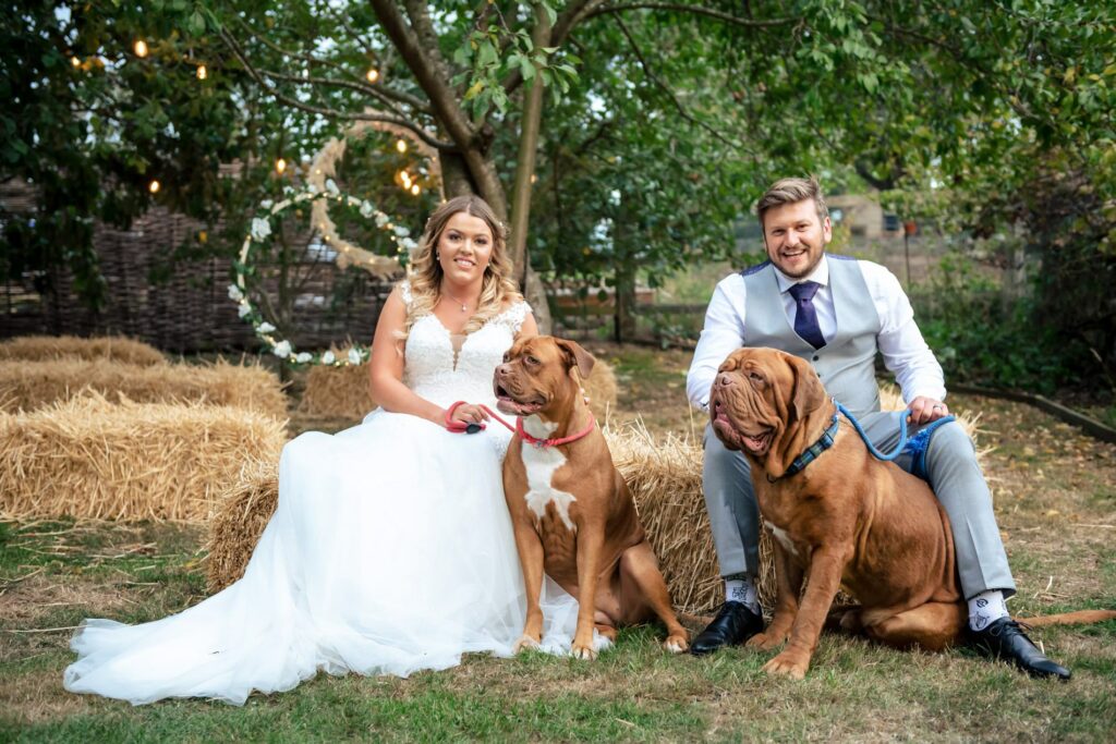 bride and groom pose with their dogs
