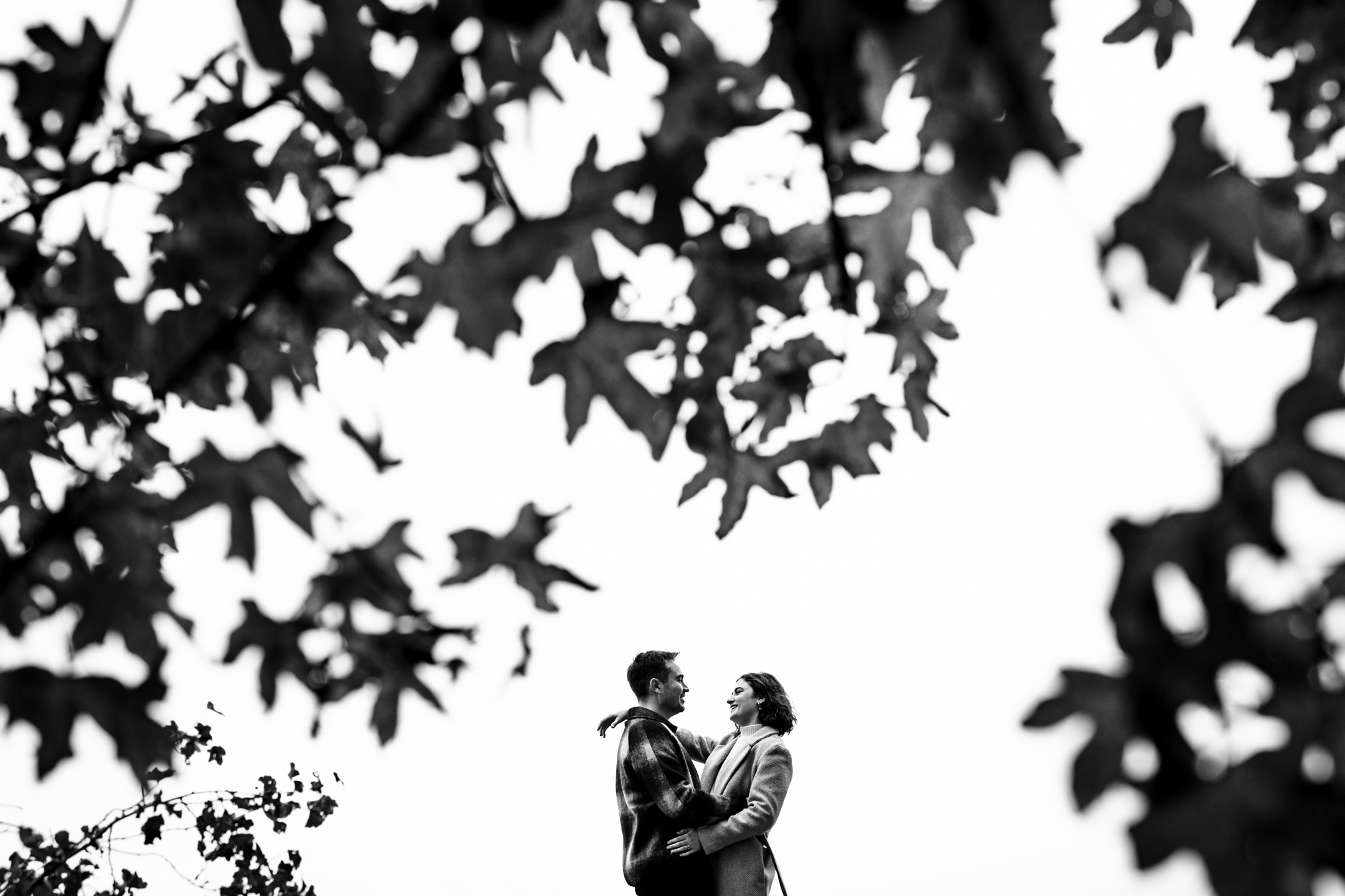 Couple in silhouette through trees in St Albans engagement photos